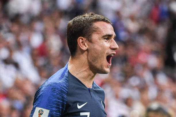 逐步建立起 逐步建立起